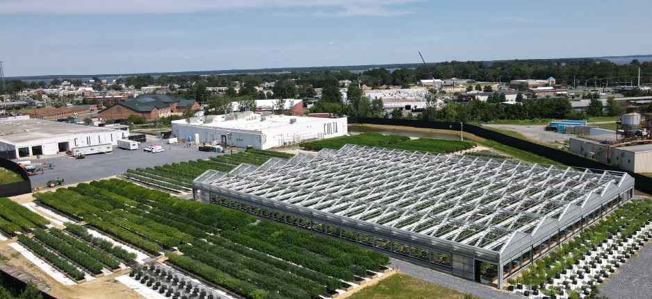 outdoor grow facility in Cambridge Maryland